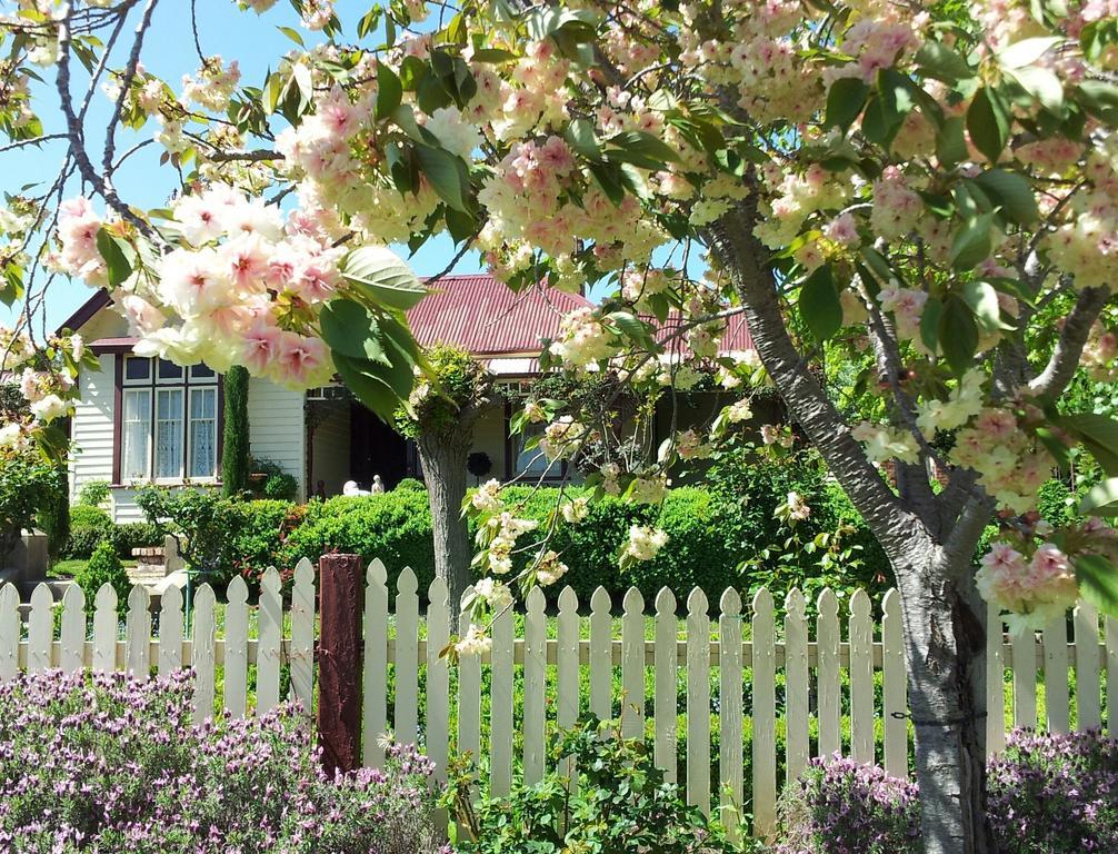 Barnsley House Bed And Breakfast Beechworth Extérieur photo